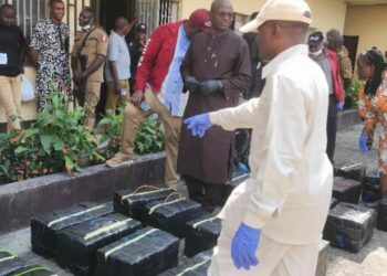 NDLEA Working With US, UK Anti-Narcotics Agencies Over 1,000kg Cocaine Recovered At Lagos Port