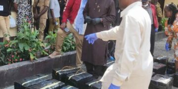 NDLEA Working With US, UK Anti-Narcotics Agencies Over 1,000kg Cocaine Recovered At Lagos Port