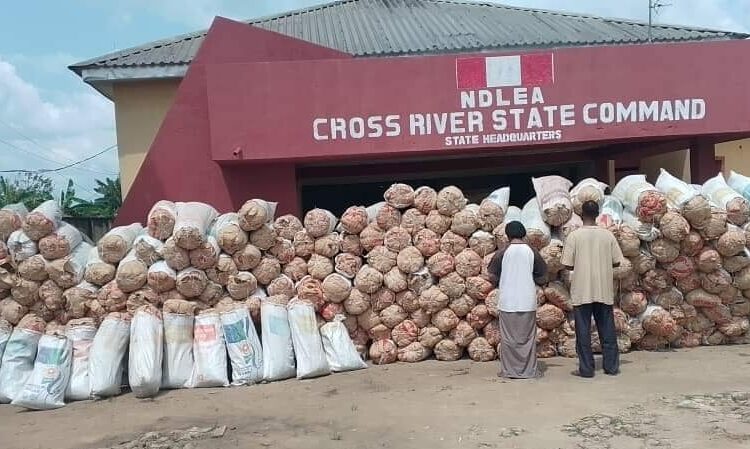 NDLEA Arrests Couple For Allegedly Possessing 360 Bags Of Marijuana In Cross River 1 NDLEA office calabar