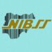 Nigeria’s Platform Becomes Africa’s First ‘Mature’ Instant Payment System