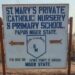 Niger: After Protest, Diocese Begins Registering Parents Of Abducted Students 5 Kidnapped Students, Staff Of Saint Mary’s Catholic Nursery, Primary And Secondary School, Papiri, Niger