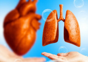 Cardiorespiratory Endurance And The Path To A Strong Heart, Lungs