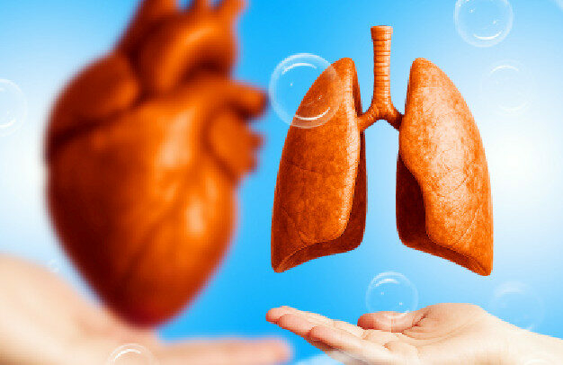Cardiorespiratory Endurance And The Path To A Strong Heart, Lungs 1 Screenshot 2025 11 02 053537