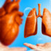 Cardiorespiratory Endurance And The Path To A Strong Heart, Lungs 5 Cardiorespiratory Endurance And The Path To A Strong Heart, Lungs
