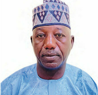 20 African Countries Do Business With Kano Daily – President Chamber Of Commerce 1 Screenshot 2025 11 08 070359