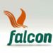 Energy& LLP  Acquires Stake In Falcon Corp