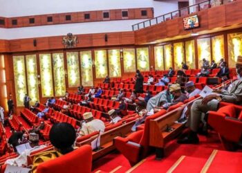 Insecurity: South-West Senators, Others Renew Demand For State Police