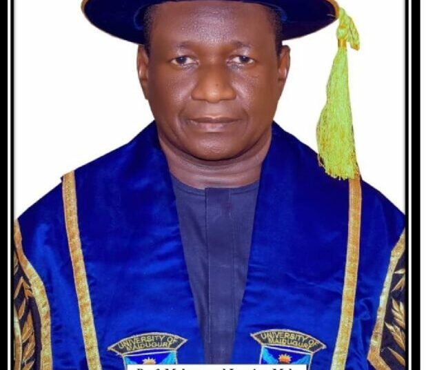 University Of Maiduguri Holds Convocation Saturday 1 The Vice Chancellor University of Maiduguri Professor Mohammed Laminu Mele
