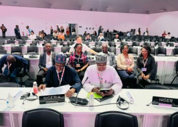 Tinubu Urges Global Leaders To Honour $100bn Climate Finance Pledge