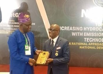 Engr. Michael Ben Honoured With NIPetGE Fellowship Award