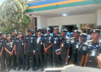Kano Police Commissioner Decorates 29 Newly Promoted Officers