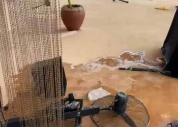 Thugs Invade Museum, Destroy Properties, Order Tourists, Investors To Vacate Facility