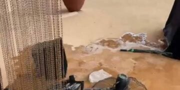 Thugs Invade Museum, Destroy Properties, Order Tourists, Investors To Vacate Facility