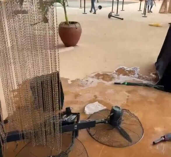 Thugs Invade Museum, Destroy Properties, Order Tourists, Investors To Vacate Facility 1 WhatsApp Image 2025 11 09 at 15.39.27 6cdbfca6