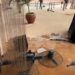 Thugs Invade Museum, Destroy Properties, Order Tourists, Investors To Vacate Facility