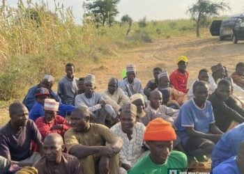 Troops Rescue 86 Kidnap Victims, Arrest 29 Logistics Suppliers In Borno