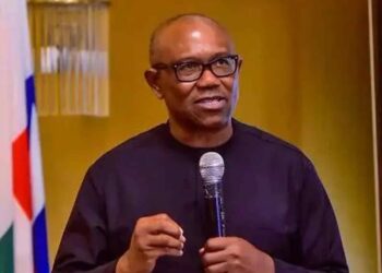Nigeria’s Youth, Resources Make It Africa’s Greatest Investment Hub — Obi