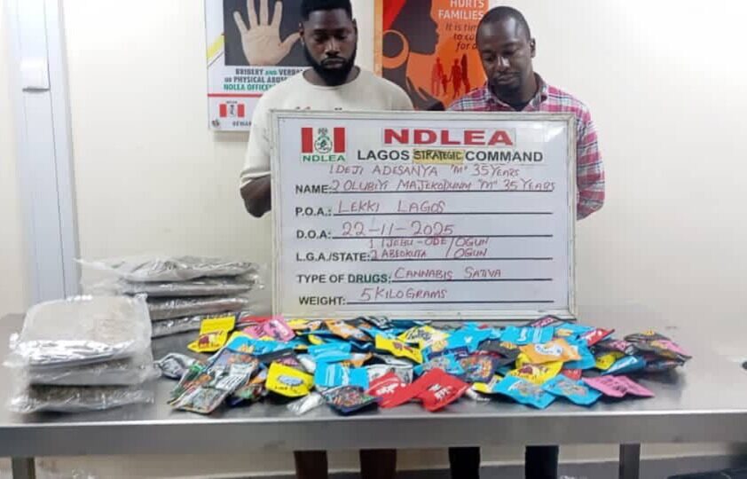 NDLEA Uncovers Illicit Drugs Packaged As Christmas Cookies In Lagos