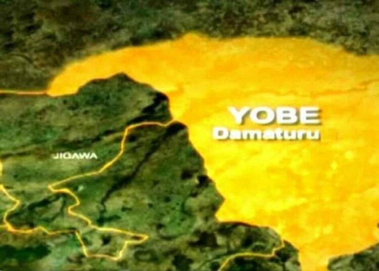Police Arrest 30-year-old Over defilement Of Minor In Yobe Police Arrest 30-year-old Over defilement Of Minor In Yobe