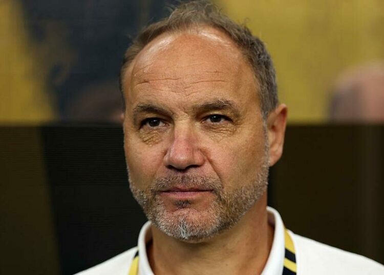 Resilient Haiti Deserved World Cup Qualification, Says Coach 1 ae494d70 c515 11f0 98cb cb613957a3bd