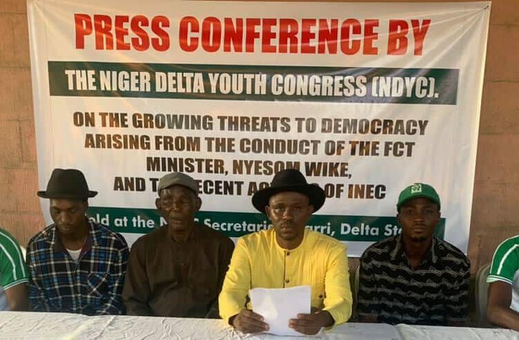 NDYC Raises Concerns Over Alleged Threats To Nigeria’s Democratic Stability 1 c4a9e097 68aa 411c 92a1 7f8f08103804