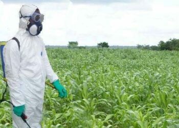 Federal Govt Strengthens Defence Against Transboundary Plant Pests