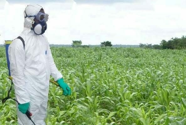 crop pest control