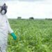 Federal Govt Strengthens Defence Against Transboundary Plant Pests