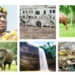 Why Visit Ghana?