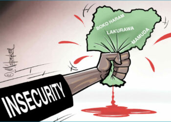 Insecurity: Before We Invoke The Gods