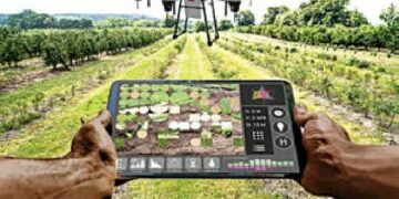 European Union, Germany Commit €18.3m To Boost Climate-smart Agriculture In Nigeria