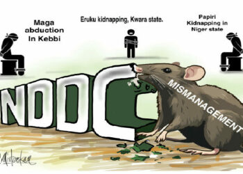 NDDC Scandal, Abductions And School Closure