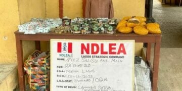 yiaga africa Drug Enforcement Agency Busts Clandestine ‘Colos’ Lab In Lagos