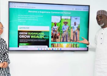 NSDC Launches Sugarcane Outgrower Programme To Boost Local Production