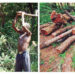 Combating Indiscriminate Tree Felling 5 Combating Indiscriminate Tree Felling