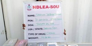 NDLEA Arrests Female Drug Kingpin After 20 Months In Hiding