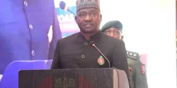 Don’t Underrate Yourselves, Defence Minister Tells Nigerians