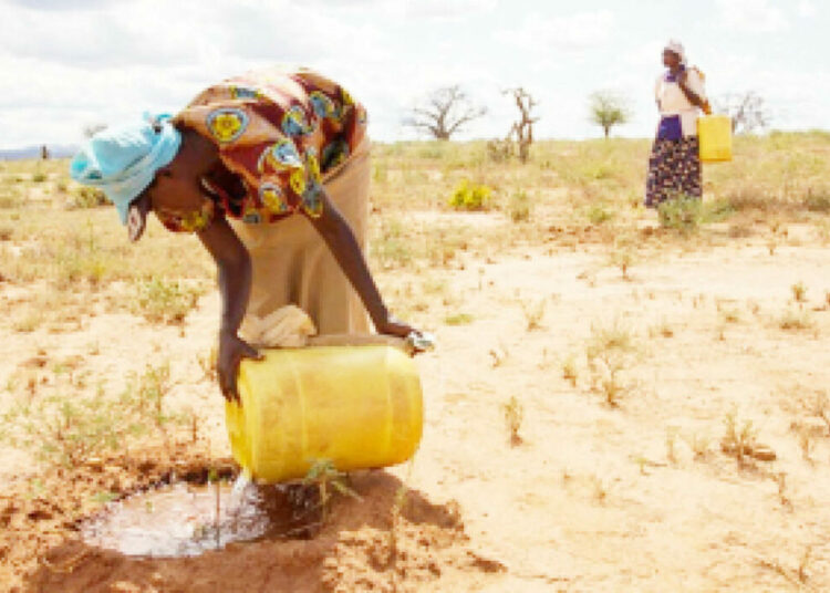 Scorched Fields, Empty Wells, lean Harvests: Climate Shocks Threaten Nigeria’s Food Security 1 Food Security agriculture