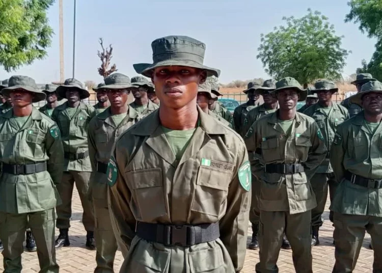 Northern Youths Commend Tinubu Over Forest Guards Approval 1 Forest Guards