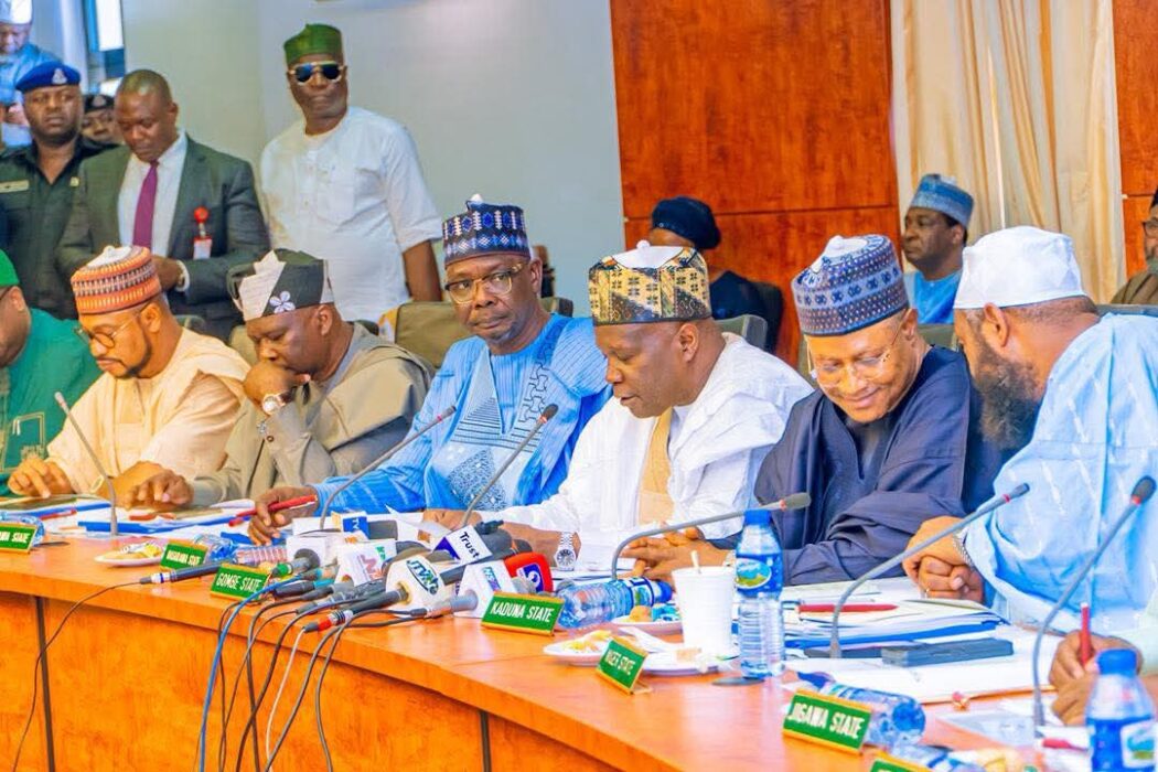 Insecurity: Suspend Mining Activities For 6 Months, Northern Governors Tell Tinubu