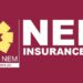 NEM Group Subsidiaries Exceed  Expectations, Reward  Outstanding Employees