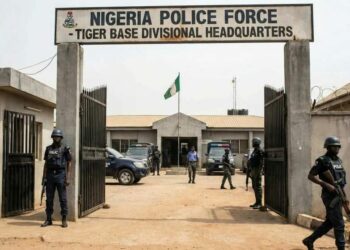 Investigate Allegations Of Atrocities Against Imo Tiger Base