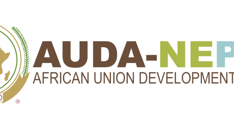 AUDA-NEPAD Empowers 90 Yobe Farmers With Smart Irrigation Inputs 1 Partner 1 11