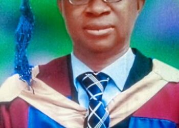Alumni Associations Can Facilitate Nigeria’s Development — Don