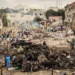 Nigeria Seeks Respect For Somalia’s Unity, Sovereignty 5 Nigeria Seeks Respect For Somalia’s Unity, Sovereignty