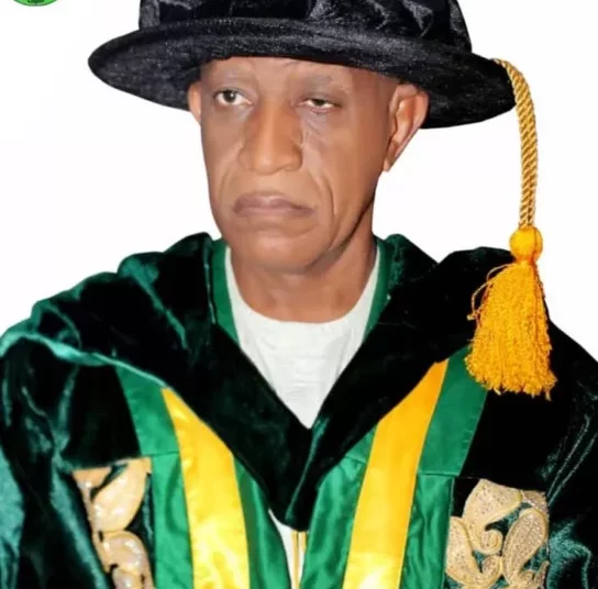 Babangida Varsity Promotes Nigeria’s Traditional Medicine, Others In China 1 Vice Chancellor of Ibrahim Badamasi Babangida IBB University Lapai Professor Mohammed Hadi Sulaiman