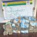 PICTORIAL: FCT Police Arrest Notorious Car-snatching Syndicate, Recover 6 Vehicles, ₦15m Cash