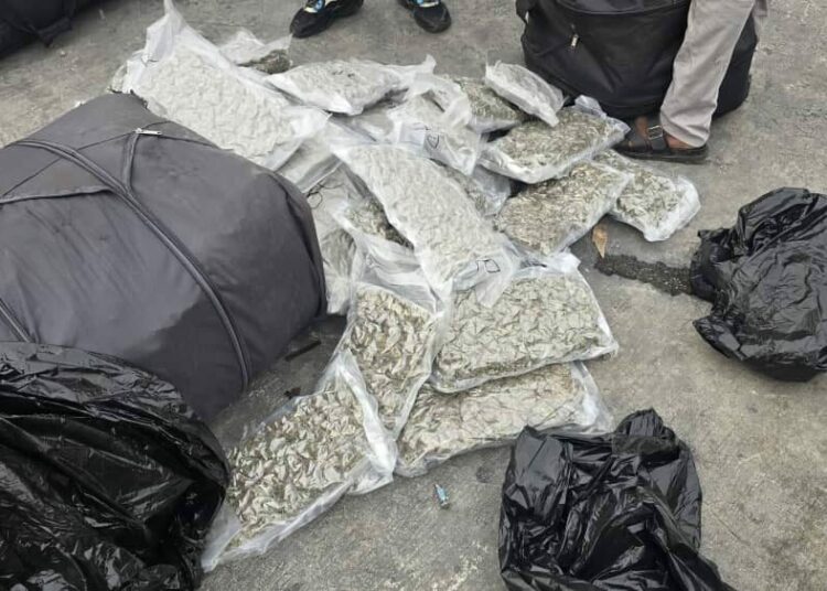 Customs, NDLEA Intercept Drugs Concealed In Imported Vehicles At Apapa Port 1 WhatsApp Image 2025 12 12 at 08.45.12 ef6994d5