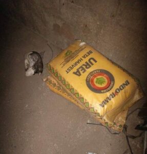 PICTORIAL: Troops Apprehend Suspected Suicide Bomber, Intercepts IED-making Materials In Borno 4 WhatsApp Image 2025 12 30 at 21.36.13