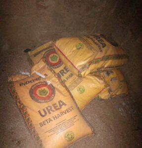 PICTORIAL: Troops Apprehend Suspected Suicide Bomber, Intercepts IED-making Materials In Borno 7 WhatsApp Image 2025 12 30 at 21.36.15